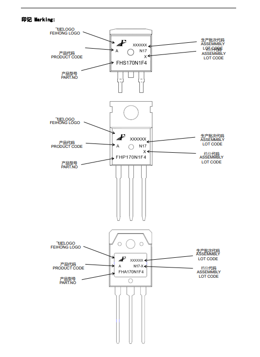 Fei Hong Semiconductor